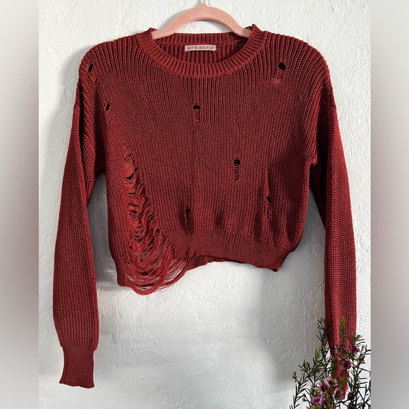 Hot & Delicious Sweaters - Hot & Delicious Distressed Crop Sweater - Rust